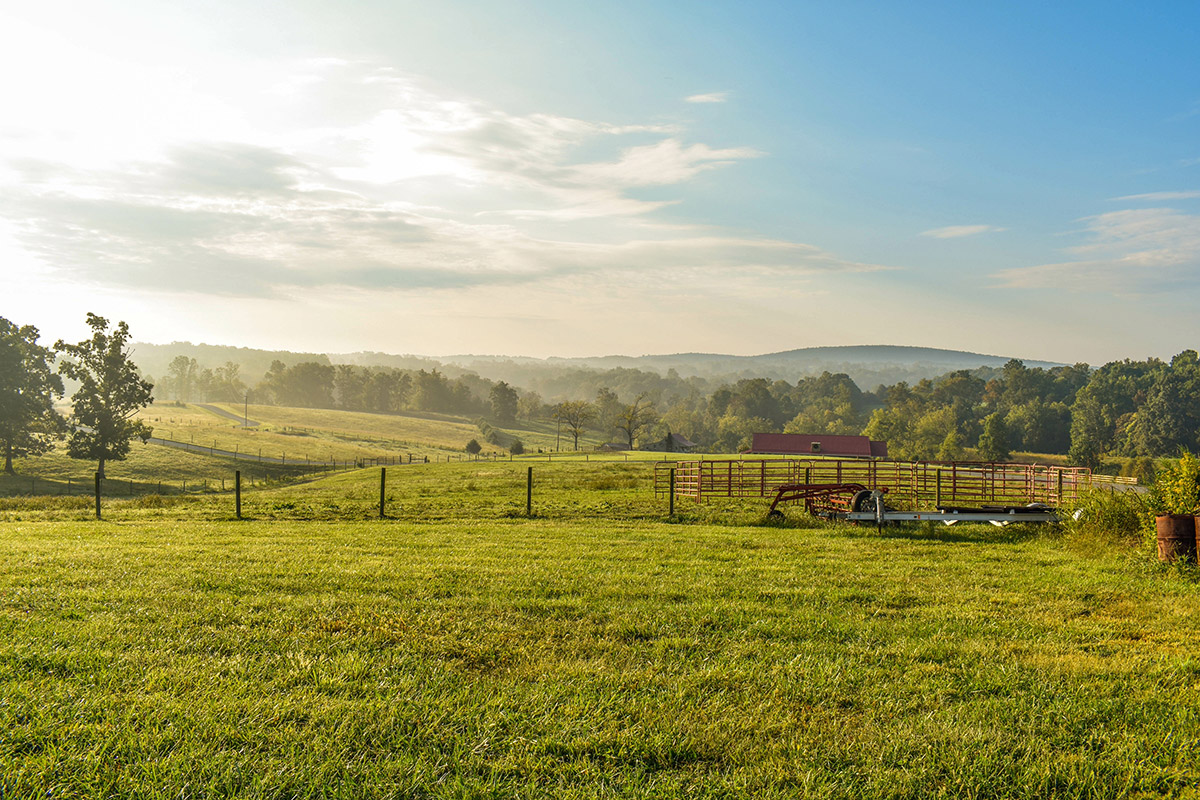 Family Farm