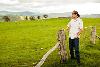 Farmer Looking at Paddock