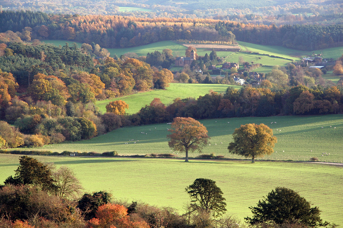 Surrey Hills Albury