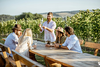 Young people drining wine in a vineyard